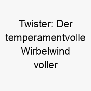 twister der temperamentvolle wirbelwind voller energie 26458