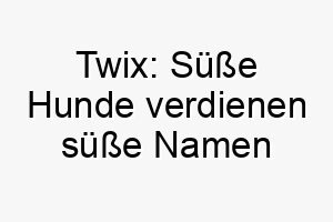 twix suesse hunde verdienen suesse namen 26417