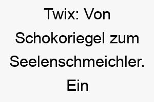 twix von schokoriegel zum seelenschmeichler ein suesser name fuer einen hunde rlichen liebling 26504