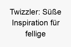 twizzler suesse inspiration fuer fellige rotschoepfe 26402