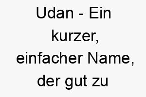 udan ein kurzer einfacher name der gut zu einem kleinen lebhaften hund passt 26886