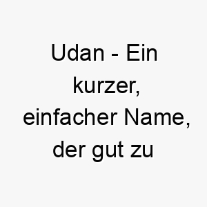 udan ein kurzer einfacher name der gut zu einem kleinen lebhaften hund passt 26886