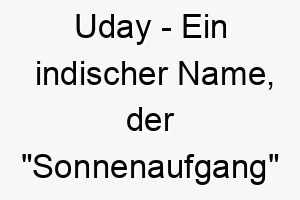 uday ein indischer name der sonnenaufgang bedeutet perfekt fuer einen hund der ihre tage erhellt 26825