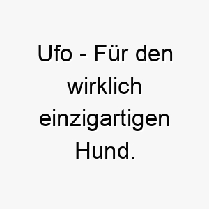 ufo fuer den wirklich einzigartigen hund 26862