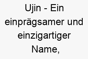 ujin ein einpraegsamer und einzigartiger name ideal fuer einen einzigartigen hund 26891