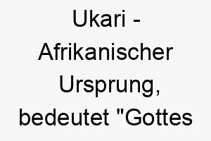 ukari afrikanischer ursprung bedeutet gottes wille 9709