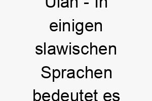 ulan in einigen slawischen sprachen bedeutet es roter soldat passt zu einem roten oder tapferen hund 26857