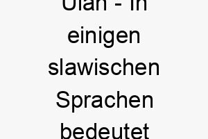 ulan in einigen slawischen sprachen bedeutet ulan roter soldat gut fuer einen roten hund oder einen wachhund 26801