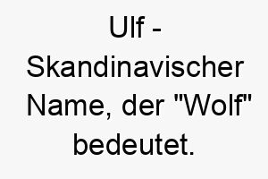 ulf skandinavischer name der wolf bedeutet passt zu einem mutigen und furchtlosen hund 26773