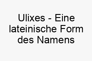 ulixes eine lateinische form des namens ulysses passend fuer einen abenteuerlustigen hund 26822