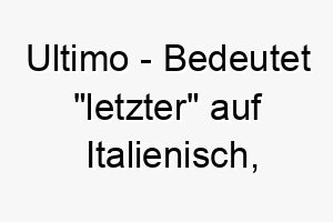 ultimo bedeutet letzter auf italienisch vielleicht fuer das juengste mitglied einer hundegruppe 26810