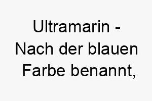 ultramarin nach der blauen farbe benannt vielleicht fuer einen hund mit blauen augen 26811