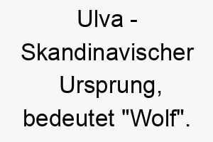 ulva skandinavischer ursprung bedeutet wolf 9691