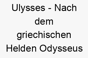 ulysses nach dem griechischen helden odysseus benannt waere dies ein toller name fuer einen abenteuerlustigen oder unabhaengigen hund 26775