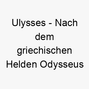 ulysses nach dem griechischen helden odysseus benannt waere dies ein toller name fuer einen abenteuerlustigen oder unabhaengigen hund 26775