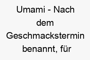 umami nach dem geschmackstermin benannt fuer einen hund der essen liebt 26817