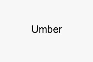 umber 9804