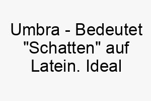 umbra bedeutet schatten auf latein ideal fuer einen schwarzen oder sehr dunklen hund 26789