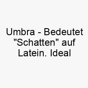 umbra bedeutet schatten auf latein ideal fuer einen schwarzen oder sehr dunklen hund 26789