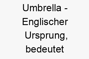 umbrella englischer ursprung bedeutet regenschirm 9660