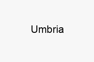 umbria 9675 1