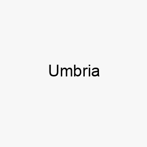 umbria 9675 1