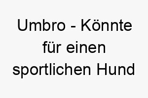 umbro koennte fuer einen sportlichen hund passen da es der name einer bekannten sportmarke ist 26812