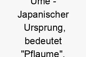 ume japanischer ursprung bedeutet pflaume 9700