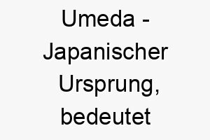 umeda japanischer ursprung bedeutet florierender reisfeld 9745