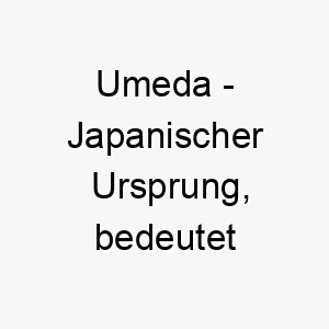 umeda japanischer ursprung bedeutet florierender reisfeld 9745