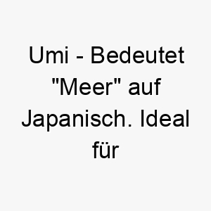 umi bedeutet meer auf japanisch ideal fuer einen hund der das wasser liebt 26781