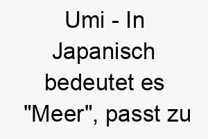 umi in japanisch bedeutet es meer passt zu einem hund der das wasser liebt 26870