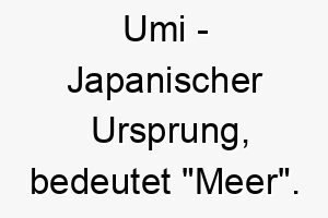 umi japanischer ursprung bedeutet meer 9687 2