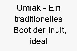 umiak ein traditionelles boot der inuit ideal fuer einen hund der wasser oder schwimmen liebt 26846