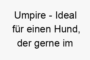 umpire ideal fuer einen hund der gerne im mittelpunkt steht oder eine fuehrungspersoenlichkeit hat 26814