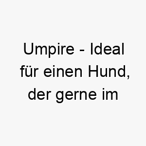 umpire ideal fuer einen hund der gerne im mittelpunkt steht oder eine fuehrungspersoenlichkeit hat 26814