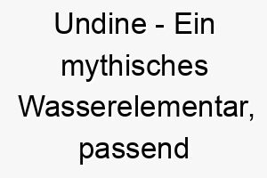 undine ein mythisches wasserelementar passend fuer einen hund der das wasser liebt 26847