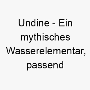 undine ein mythisches wasserelementar passend fuer einen hund der das wasser liebt 26847