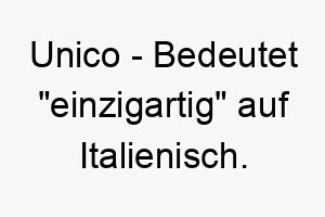 unico bedeutet einzigartig auf italienisch fuer den hund der wirklich einzigartig ist 26786