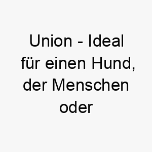 union ideal fuer einen hund der menschen oder tiere zusammenbringt 26802