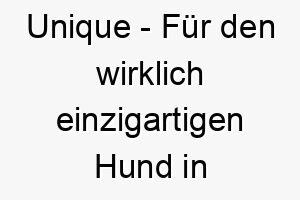 unique fuer den wirklich einzigartigen hund in ihrem leben 26874