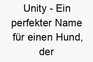 unity ein perfekter name fuer einen hund der ihre familie zusammenbringt 26853