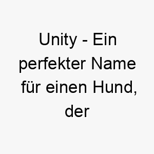 unity ein perfekter name fuer einen hund der ihre familie zusammenbringt 26853