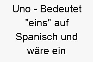 uno bedeutet eins auf spanisch und waere ein toller name fuer einen hund der der einzige in ihrem leben ist 26776