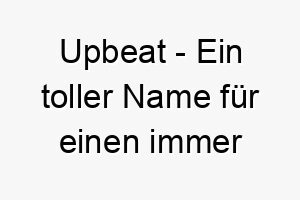 upbeat ein toller name fuer einen immer froehlichen energiegeladenen hund 26807