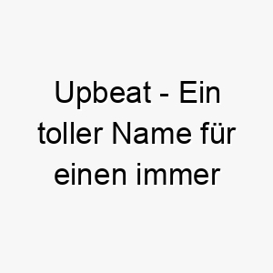 upbeat ein toller name fuer einen immer froehlichen energiegeladenen hund 26807