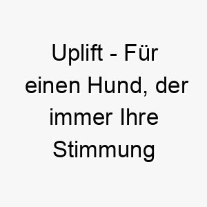 uplift fuer einen hund der immer ihre stimmung hebt 26819