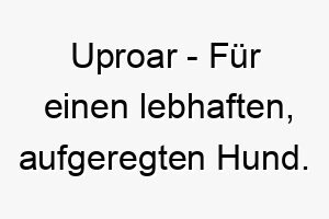 uproar fuer einen lebhaften aufgeregten hund 26815