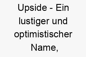 upside ein lustiger und optimistischer name passend fuer einen froehlichen hund 26877