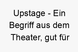 upstage ein begriff aus dem theater gut fuer einen hund der gerne im mittelpunkt steht 26831